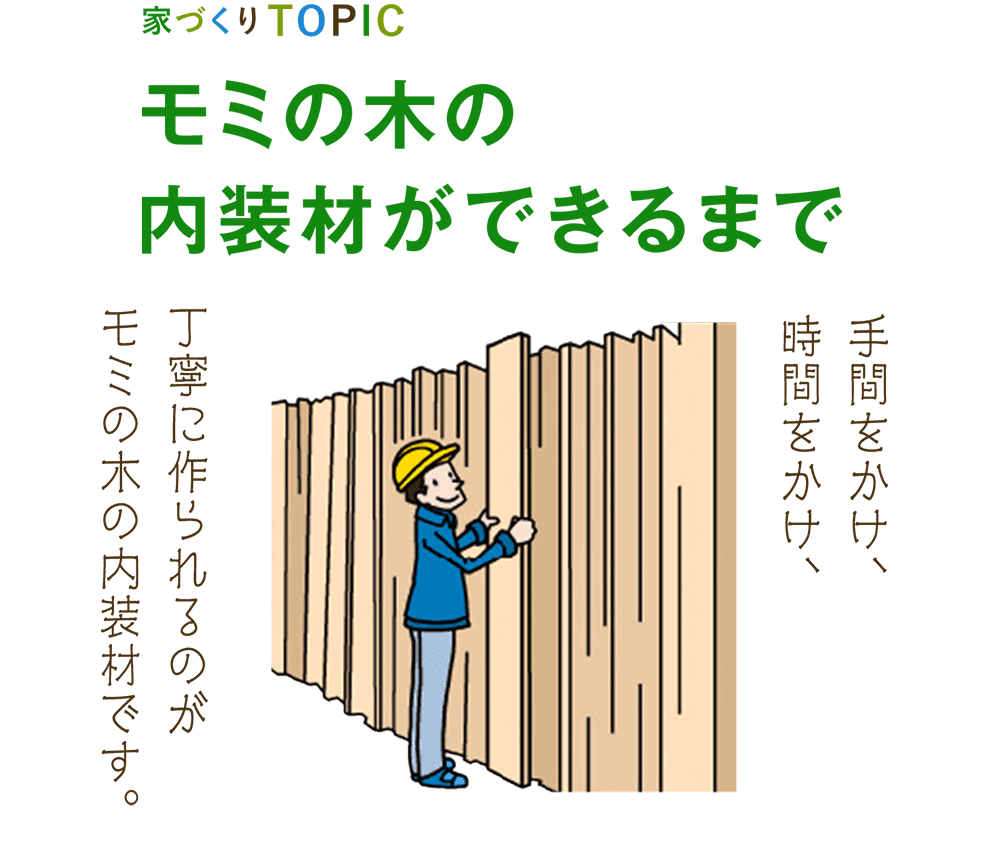 モミの木の内装材ができるまで